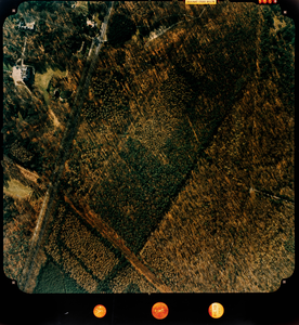  Luchtfoto (kleur) gemeente Doorn: Heuvelrug-zijde met oa. Amersfoortseweg, Maarten Maartenshuis, Stameren (nr. 5868)