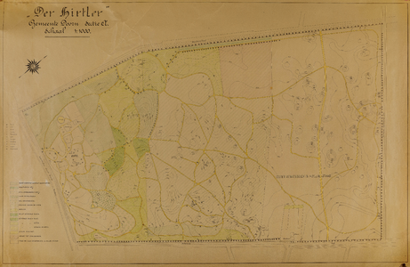  Manuscriptkaart (met hoogtelijnen) van bosopstanden op het terrein 'Der Hirtler' tussen de Woestduinlaan en de ...