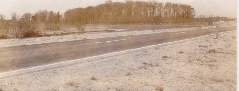  Gezicht op hoge bomen