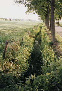  De linkerkant van de weg met sloot.