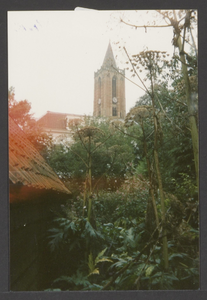  De toren van de St. Andrieskerk tussen het groen.