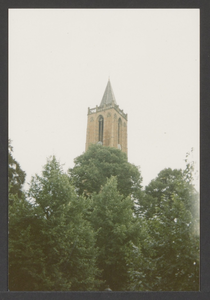  De toren van de St. Andrieskerk boven de kruinen van de bomen.