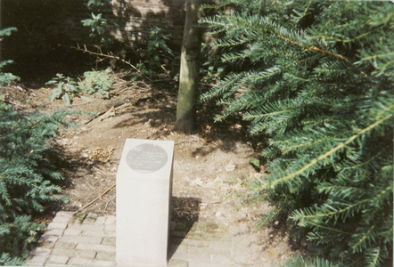  Julianaboom in park Lievendaal. Opschrift op plaquette: 'beatrix boom hare majesteit de koningin 31 januari 1988 50 ...