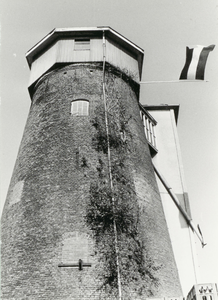  Molen Maallust met vlag en silo