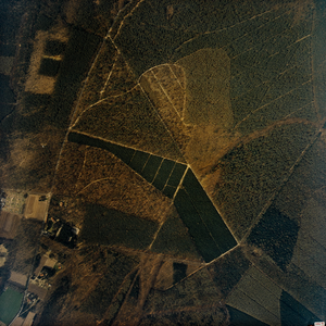  Luchtfoto van de gemeente Leersum met bosgebied ten oosten van de Rijksstraatweg op de grens met Amerongen (serie II, 284)