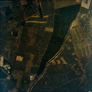  Luchtfoto van de gemeente Leersum met bosgebied ten noorden van de Rijksstraatweg op de grens met Amerongen (serie II, 285)