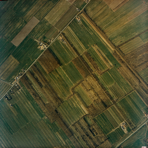  Luchtfoto van de gemeente Leersum met gebied tussen de Amerongerwetering en de Lekdijk (serie II, 302)