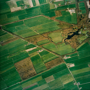  Luchtfoto van de gemeente Leersum met gebied rond de Goyerdijk en de Langbroekerweg (serie III, V6136)