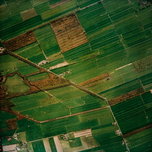  Luchtfoto van de gemeente Leersum met gebied rond de Goyerdijk, de Langbroekerweg en de Zandweg (serie III, V6137)