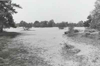  De Koeheuvels, een oude zandverstuiving ten oosten van de voormalige Maarnse Eng.
