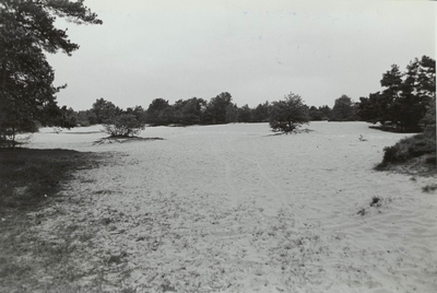  De Koeheuvels, een zandverstuiving ten oosten van de voormalige Maarnse Eng.