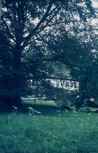  Het landhuis Wickenburgh met op de voorgrond een monumentale rode Beuk die in 2010 is omgezaagd. Deze boom was vanwege ...