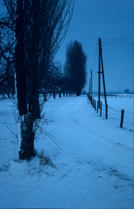  Winterbeeld bij boerderij De Grote Geer. De oprit naar de boerderij vanaf de Binnenweg.
