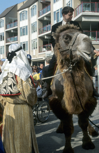  De opening van de Vershof: wethouder Leen Verbeek op een kameel.