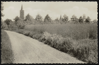  Zicht op de kerktorens in het Oude Dorp met voorin een korenveld en boomgard en Van Tiellandtpad