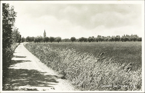  Lobbendijk ter hoogte van de voormalige basisschool De Bengelbongerd met zicht op Houten.