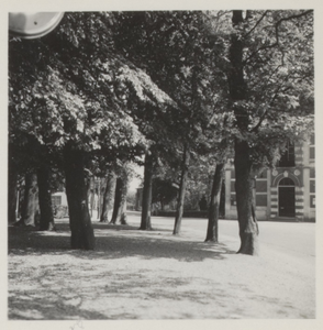  Gedeelte van het Plein met de bomen op het kerkhof en rechts een gedeelte van de voorgevel van het gemeentehuis.
