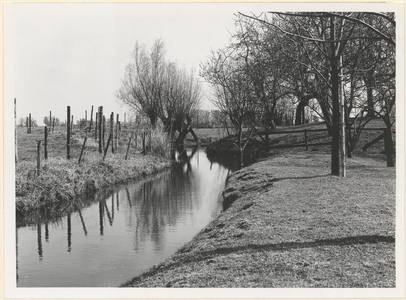 Boerderij Blokhoven. Gedeelte van de omgrachting aan de noord-oostzijde.