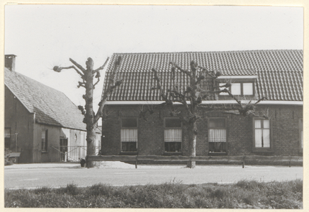  De voorgevel met twee leilinden en links een gedeelte van het zomerhuis.