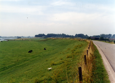  Gedeelte van de Lekdijk met op de achtergrond de begroeiing op Fort Honswijk.