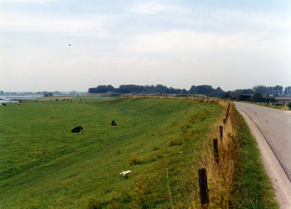  Gedeelte van de Lekdijk met op de achtergrond de begroeiing op Fort Honswijk.