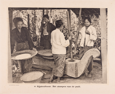 97 97. Rijstcultuur. Het stampen van de padi.