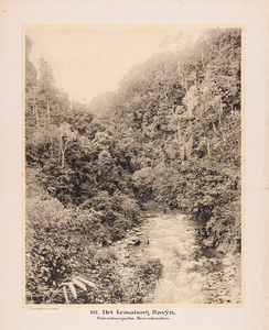 102 102. Het Lematang Ravyn. Palembangsche Bovenlanden.