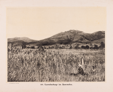 105 105. Landschap in Soemba.