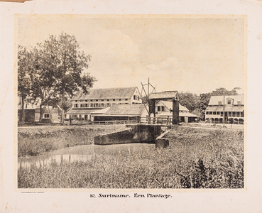 162 162. Suriname. Een Plantage.